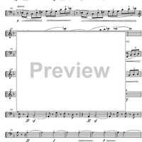 Sonata in D minor - Cello