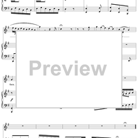 Israel in Egypt, "The enemy said"