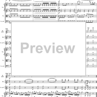 Flute Concerto No. 1 in G Major K285c (K313) - Full Score