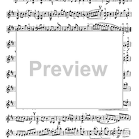 Sonata No. 2 in B minor for Unaccompanied Violin