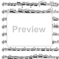 Concerto No. 5  A Major KV219 - Violin