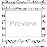 Jubilee Concerto for Celeia - Violin 1