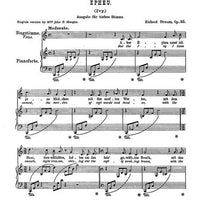 Maiden-Blossoms – Four Poems by Felix Dahn for Voice and Piano in C major