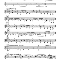 Tanijetz - B-flat Bass Clarinet