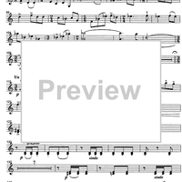 Godalni Quartet - Violin 2