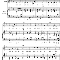 Herr, nicht schicke deine Rache