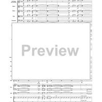 Brazilian Spice - Score