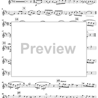 Introduction And Theme