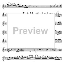 Concerto No. 4 D Major KV218 - Violin