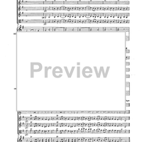 Double Concerto for Recorder and Flute in E minor - Score