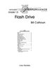 Flash Drive - Score