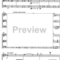 Ricercare e Allegro - Score