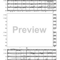 Washington Grays March - Score