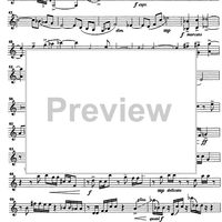 Trio Capriccioso - Vibraphone