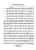 Nimrod Variation - Score