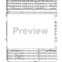Double Concerto for Recorder and Flute in E minor - Score