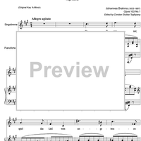 He! Zigeuner Op.103 No. 1