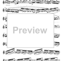 Preliminary studies to 'The Accomplished Clarinettist' Vol. 3 - Clarinet