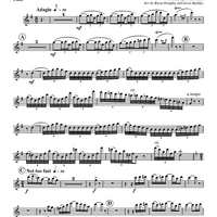 Tell the Entertainer to Play a March - Flute