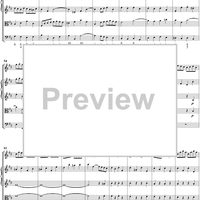 Orchestral Suite No. 2 in B Minor - Score