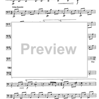 Badner Park Polka Op.65 - Cello