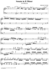 Sonata in D minor - K213/P288/L108