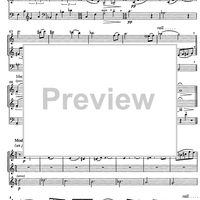 Die Stadtmusikanten - Score