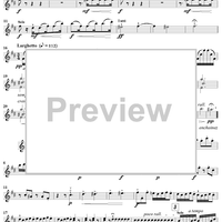 Concerto in B Minor, Op. 3, No. 10, RV580 from "L'Estro Armonico" - Violin 1