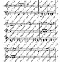 Zwölf Cassationsstücke - Performing Score