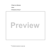 Variazioni su un tema di Prokofiev - Notes