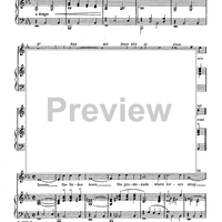 Summertime in Heidelberg