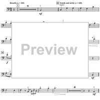 Harry's Wondrous World