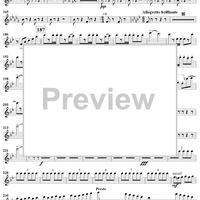 Light Cavalry Overture - Flute 1