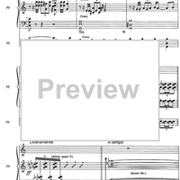 Il Carnevale degli animali di Venezia - Score