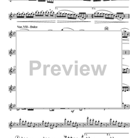 Variations on a Theme by Handel - Flute