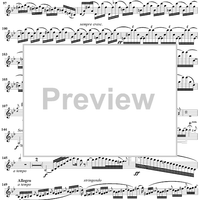 Violin Concerto No. 1 - Violin