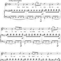 12 Gedichte, Op. 35, No. 1: Lust der Sturmnacht