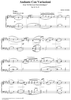 Andante Con Vahiazioni, No. 23 from "Twenty Four Morceau Characteristiques", Op. 36