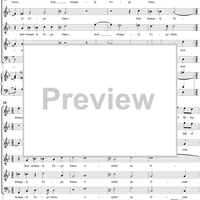 The Andalusian Merchant