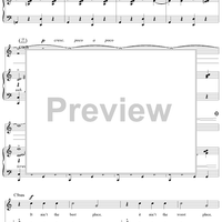 This Must Be the Place