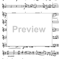 Godalni Quartet - Violin 2