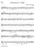 Divertimento No. 7 D Major KV205 - Horn in D 2