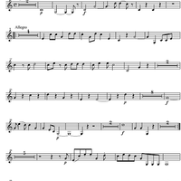 Divertimento No. 7 D Major KV205 - Horn in D 2