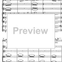 Contrabbasso concertante - Score