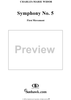 Symphony No. 5 in F Minor, Op. 42, No. 1 - Movement 1
