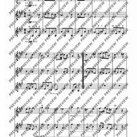 Zwölf Cassationsstücke - Performing Score