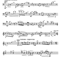 Solo per Contrabbasso