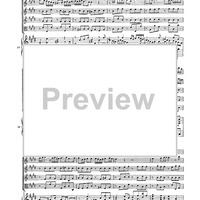 Double Concerto for Recorder and Flute in E minor - Score