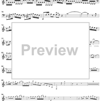 Horn Concerto No. 2 - Horn