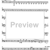 Divertimento Op.69 - Bassoon